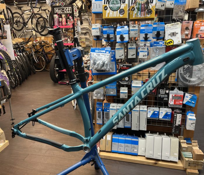 【Reuse】Santacruz Chameleon AL