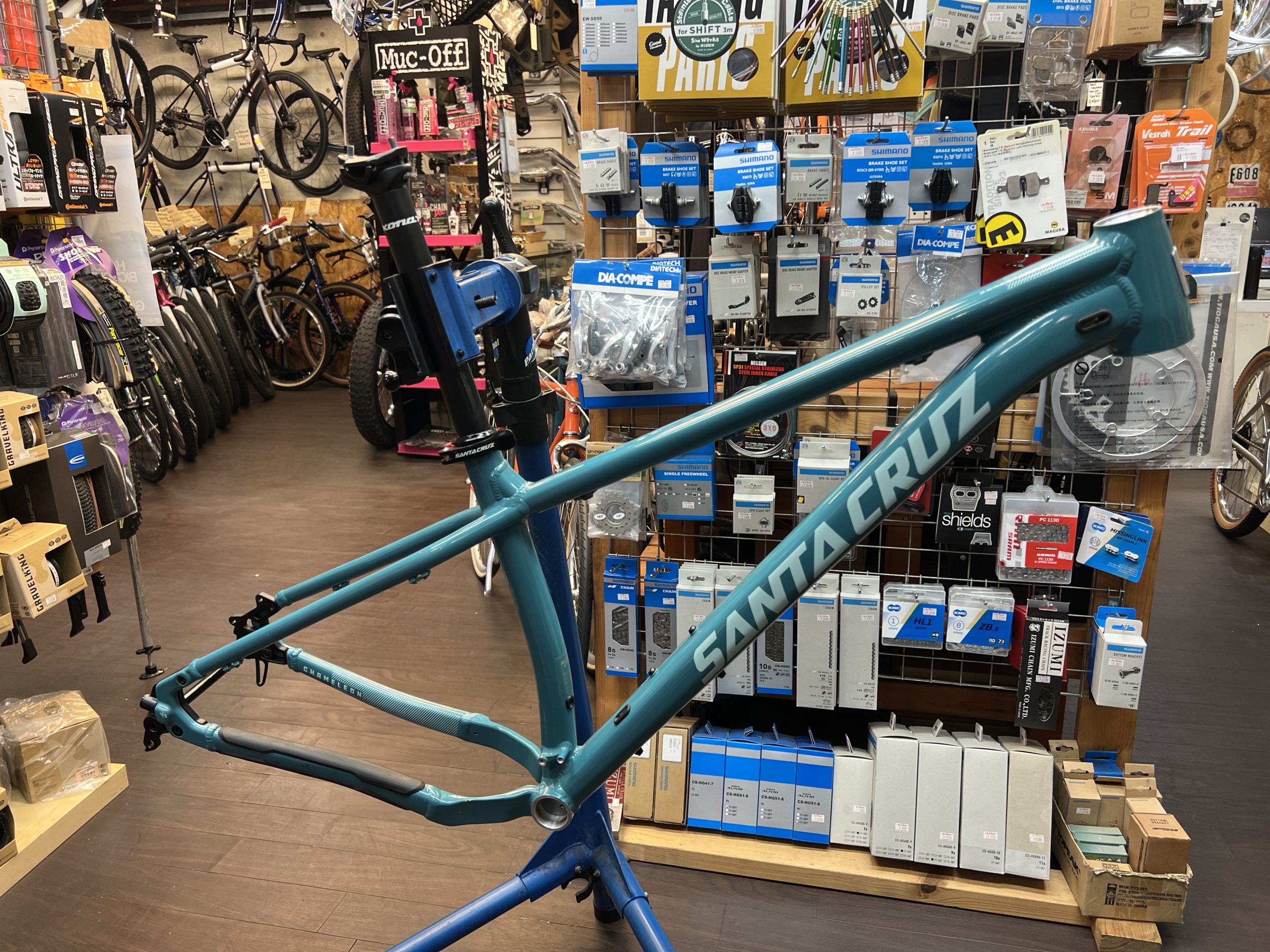 【Reuse】Santacruz Chameleon AL